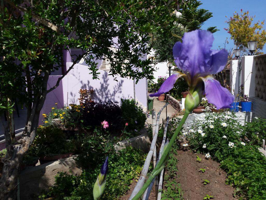 Apartmán Casa Purple Cala Gonone Exteriér fotografie