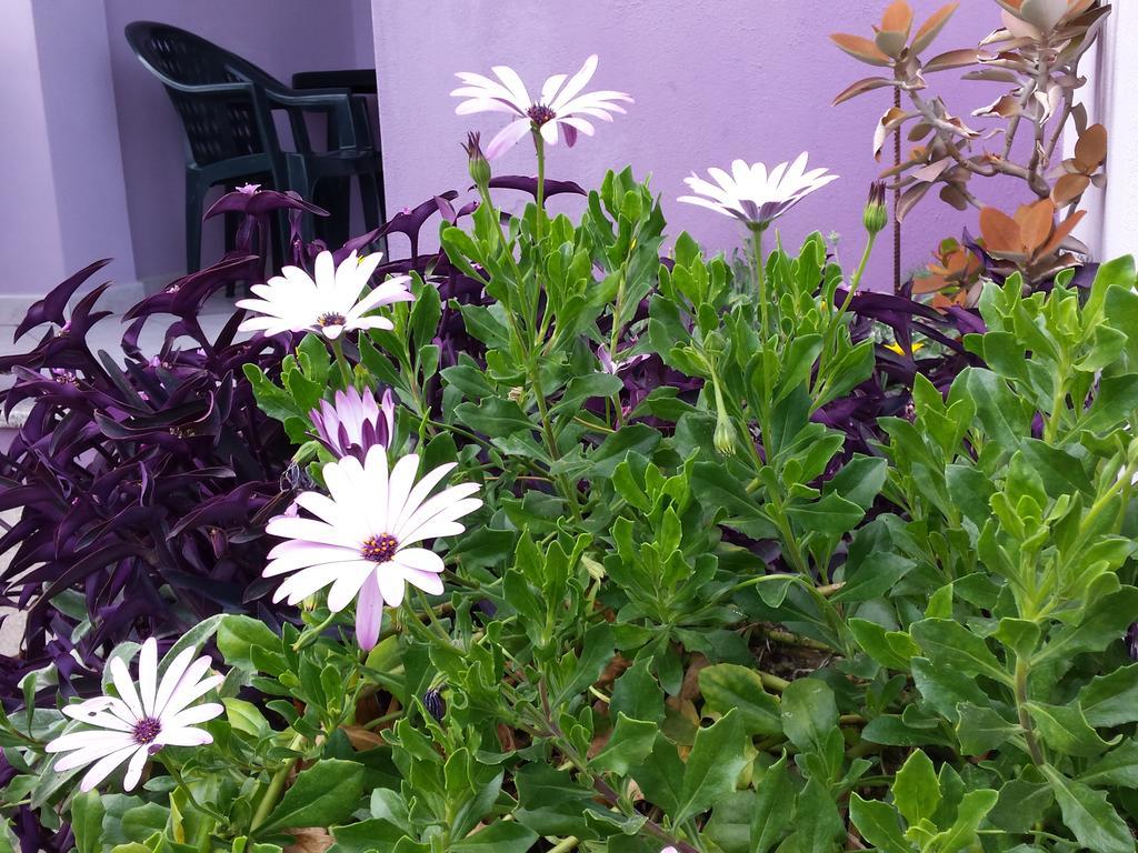 Apartmán Casa Purple Cala Gonone Exteriér fotografie